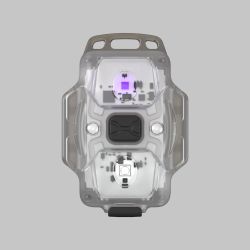 Armytek Crystal Wuv Grey / White & Ultraviolet / 150 Lm & 325 Mw (365 Nm) / Headband / Lanyard / Built-in Li-pol Battery - Pandelampe