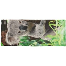 Easy Camp Image Kids Cuddly Koala