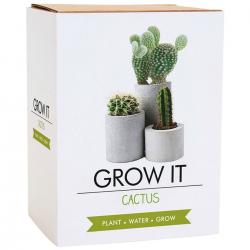 Gift Republic Grow It Kit Cactus Kaktus