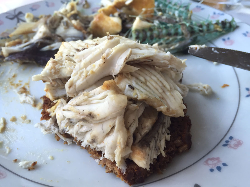 Hornfisk på ristet rugbrød